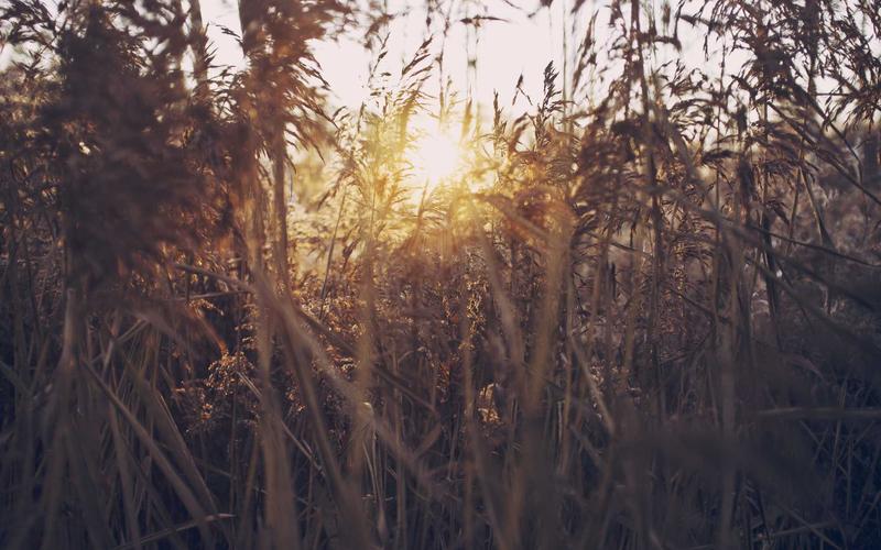 Glamping vs Camping: Which Is Right for You?
